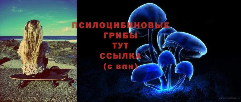 Псилоцибиновые грибы Magic Shrooms Зуевка