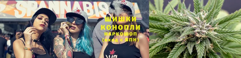 Конопля White Widow  Зуевка 